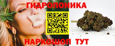 гидропоника Канаш