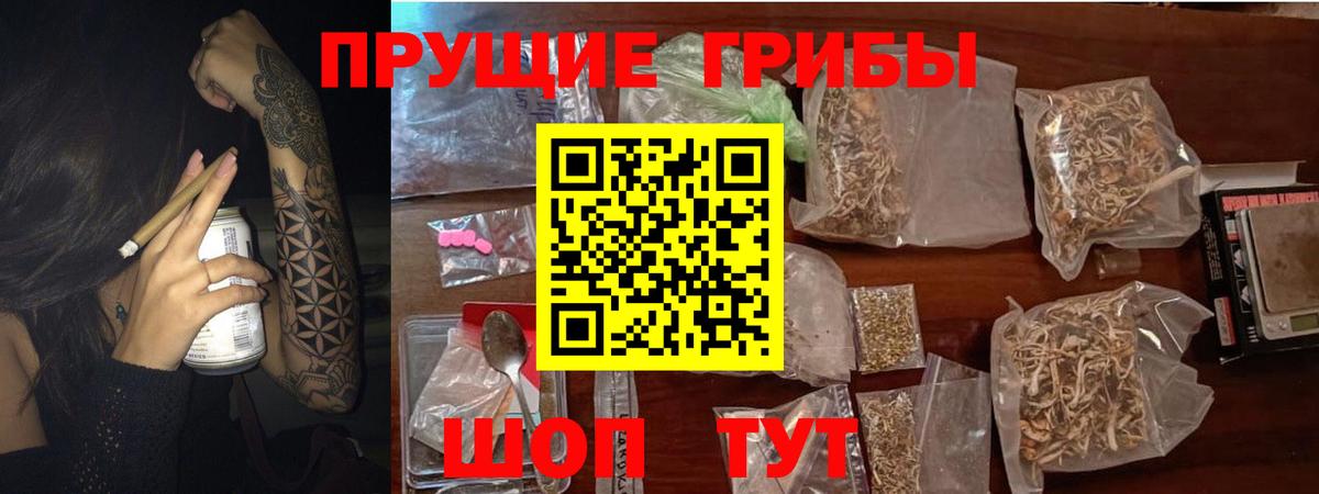 Нальчик  Псилоцибиновые грибы мухоморы  Вход с VPN 